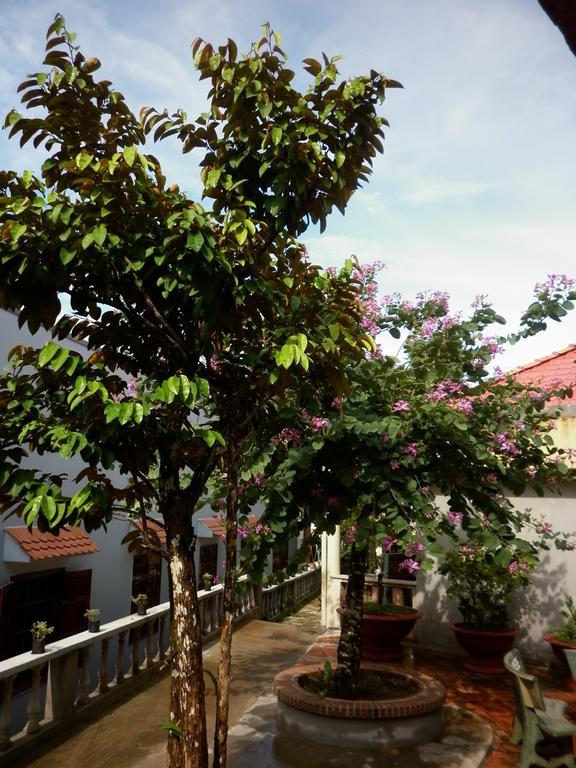 The Palm Tree Guesthouse Phú Quốc Eksteriør billede