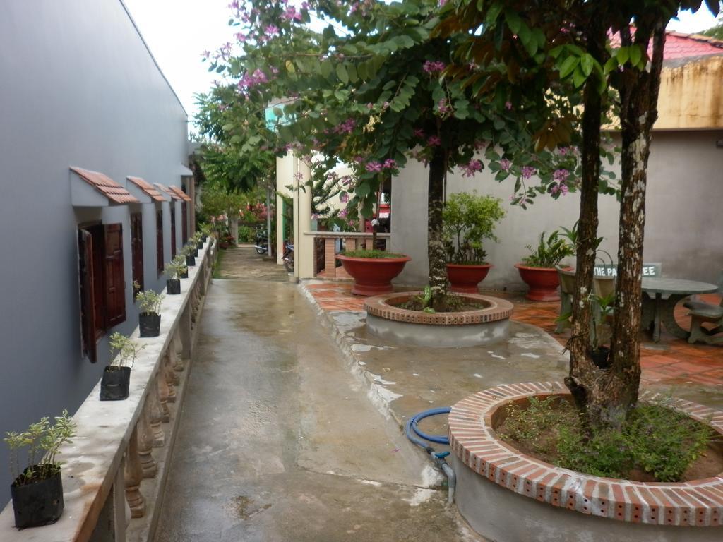 The Palm Tree Guesthouse Phú Quốc Eksteriør billede