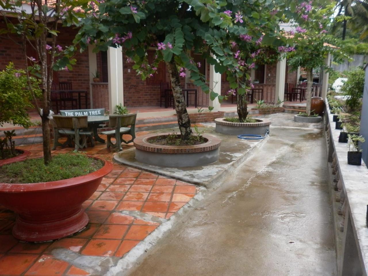 The Palm Tree Guesthouse Phú Quốc Eksteriør billede