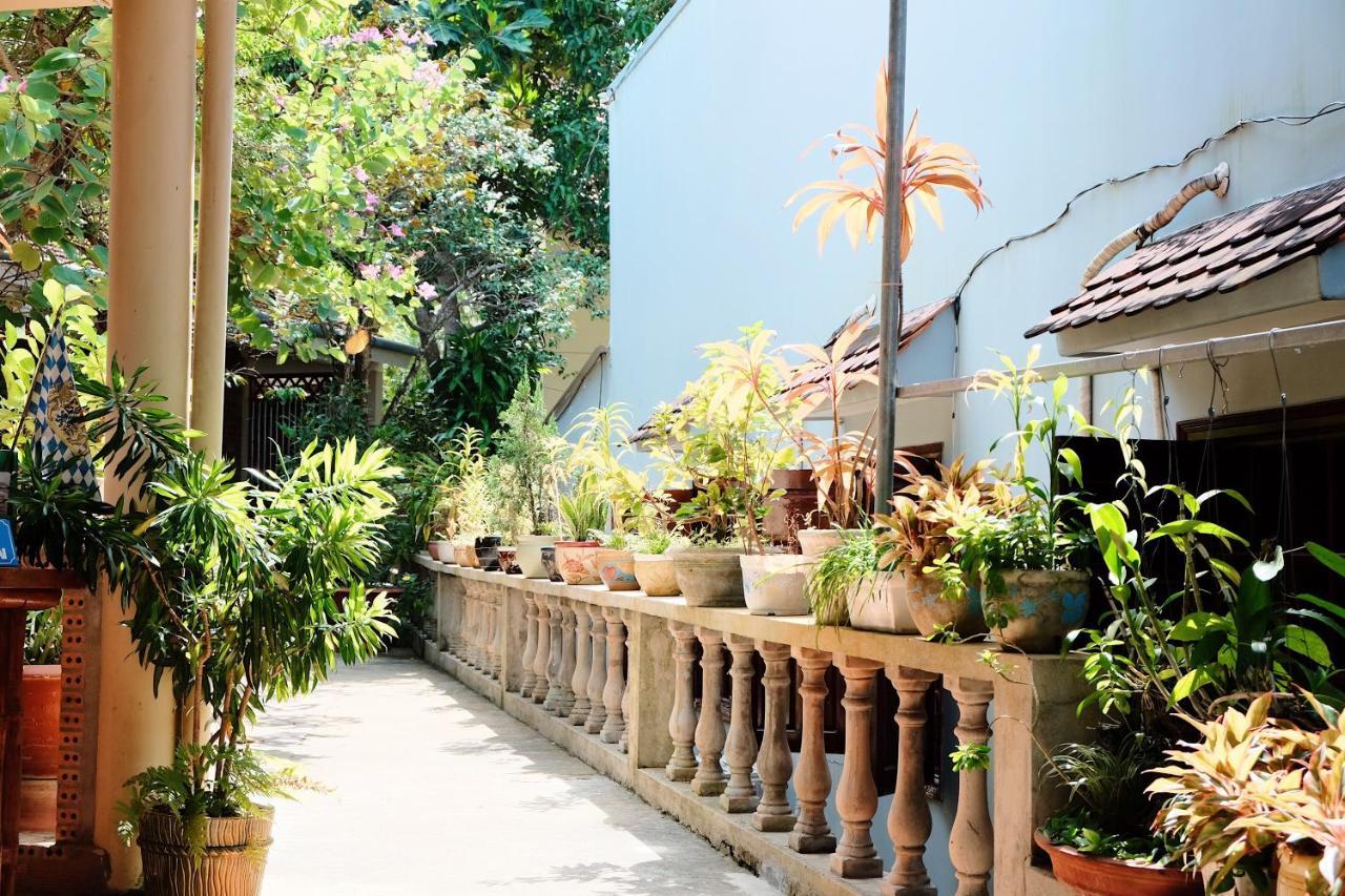 The Palm Tree Guesthouse Phú Quốc Eksteriør billede